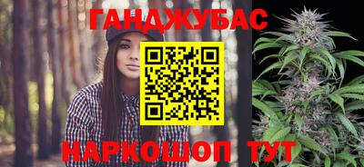 шишки Аргун