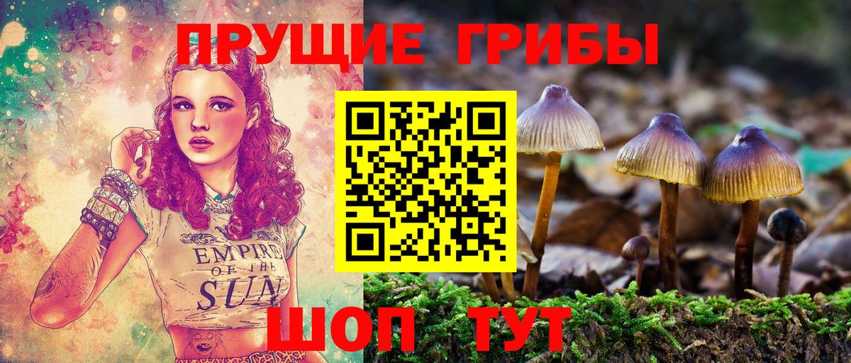 Выборг  где купить   Вход с VPN  Псилоцибиновые грибы прущие грибы  Галлюциногенные грибы Psilocybine cubensis 